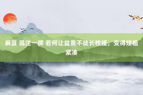 麻豆 孤注一掷 若何让盆景不徒长枝桠，变得矮粗紧凑