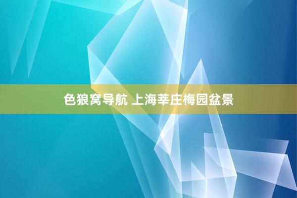 色狼窝导航 上海莘庄梅园盆景
