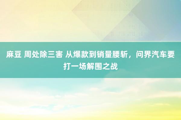 麻豆 周处除三害 从爆款到销量腰斩，问界汽车要打一场解围之战