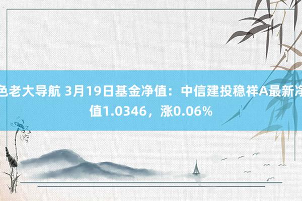 色老大导航 3月19日基金净值：中信建投稳祥A最新净值1.0346，涨0.06%