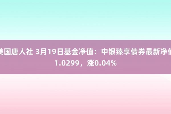 美国唐人社 3月19日基金净值：中银臻享债券最新净值1.0299，涨0.04%
