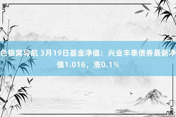 色狼窝导航 3月19日基金净值：兴业丰泰债券最新净值1.016，涨0.1%