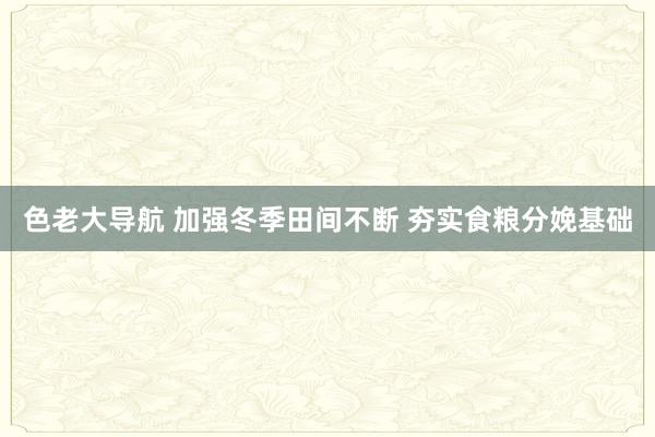 色老大导航 加强冬季田间不断 夯实食粮分娩基础
