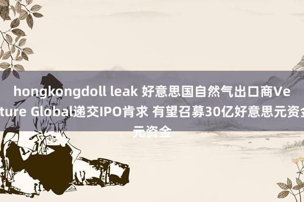 hongkongdoll leak 好意思国自然气出口商Venture Global递交IPO肯求 有望召募30亿好意思元资金