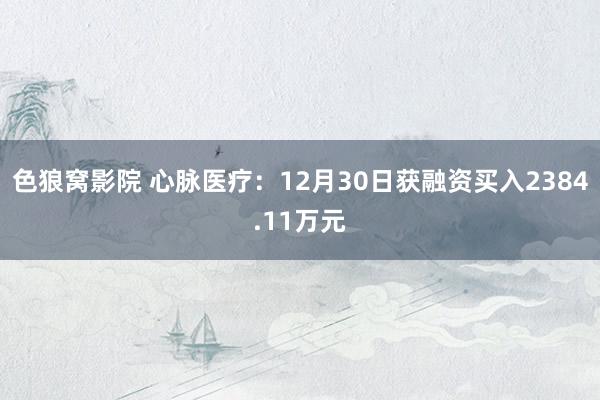 色狼窝影院 心脉医疗：12月30日获融资买入2384.11万元