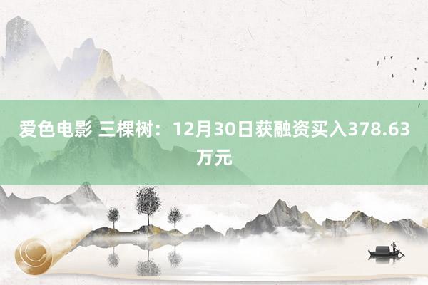 爱色电影 三棵树：12月30日获融资买入378.63万元
