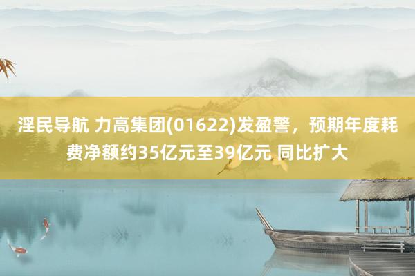 淫民导航 力高集团(01622)发盈警，预期年度耗费净额约35亿元至39亿元 同比扩大