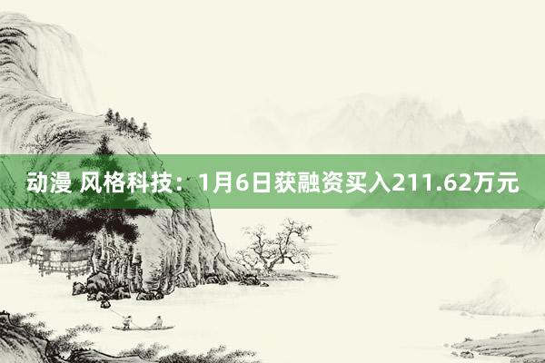 动漫 风格科技：1月6日获融资买入211.62万元
