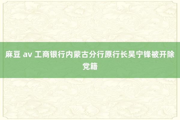 麻豆 av 工商银行内蒙古分行原行长吴宁锋被开除党籍