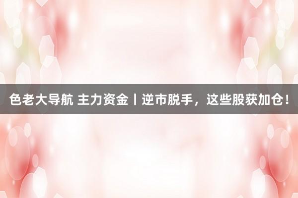 色老大导航 主力资金丨逆市脱手，这些股获加仓！