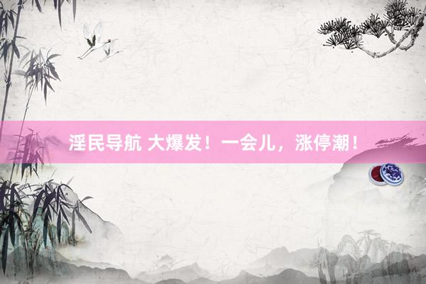 淫民导航 大爆发！一会儿，涨停潮！
