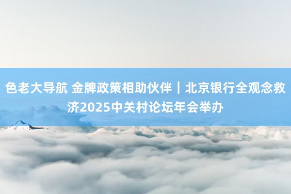 色老大导航 金牌政策相助伙伴｜北京银行全观念救济2025中关村论坛年会举办