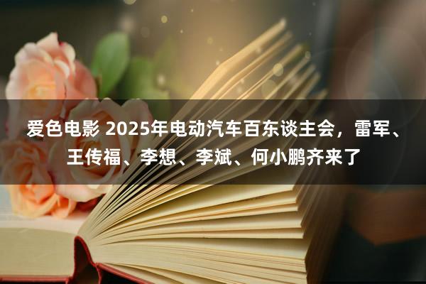 爱色电影 2025年电动汽车百东谈主会，雷军、王传福、李想、李斌、何小鹏齐来了