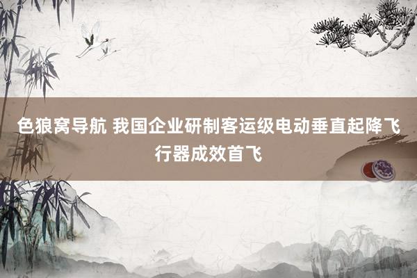 色狼窝导航 我国企业研制客运级电动垂直起降飞行器成效首飞