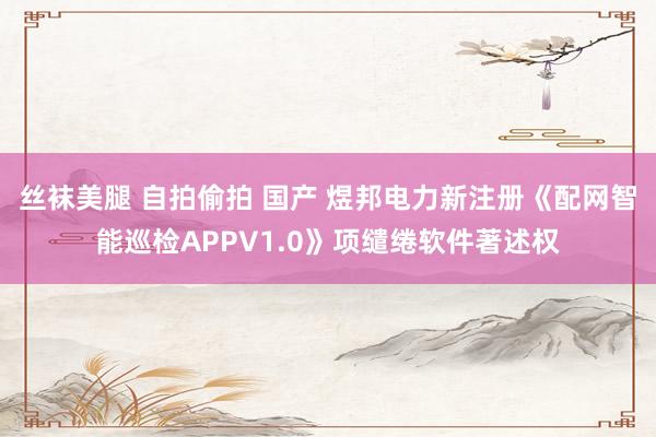 丝袜美腿 自拍偷拍 国产 煜邦电力新注册《配网智能巡检APPV1.0》项缱绻软件著述权