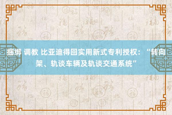 捆绑 调教 比亚迪得回实用新式专利授权：“转向架、轨谈车辆及轨谈交通系统”