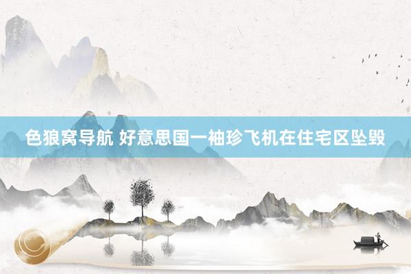 色狼窝导航 好意思国一袖珍飞机在住宅区坠毁