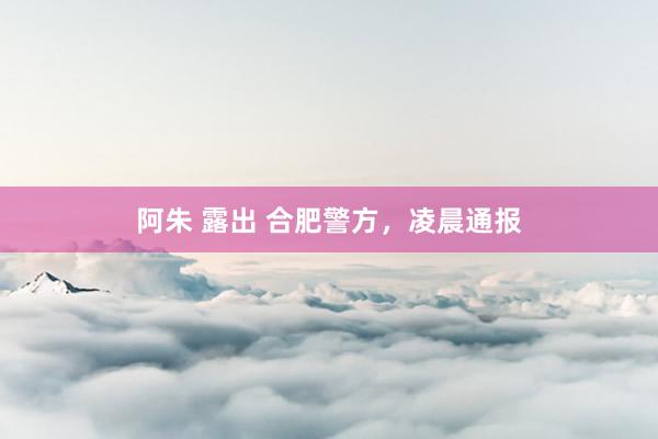 阿朱 露出 合肥警方，凌晨通报