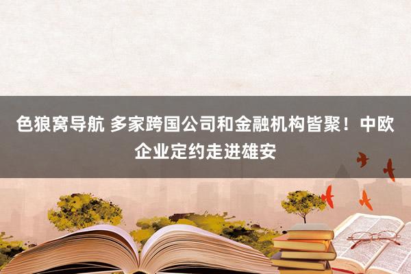 色狼窝导航 多家跨国公司和金融机构皆聚！中欧企业定约走进雄安