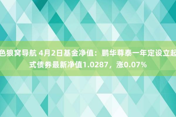 色狼窝导航 4月2日基金净值：鹏华尊泰一年定设立起式债券最新净值1.0287，涨0.07%