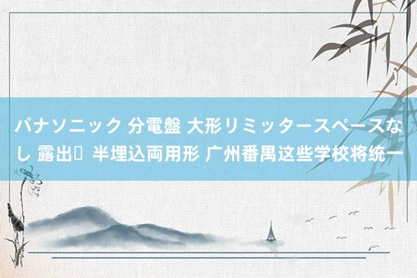 パナソニック 分電盤 大形リミッタースペースなし 露出・半埋込両用形 广州番禺这些学校将统一