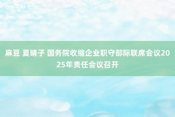 麻豆 夏晴子 国务院收缩企业职守部际联席会议2025年责任会议召开
