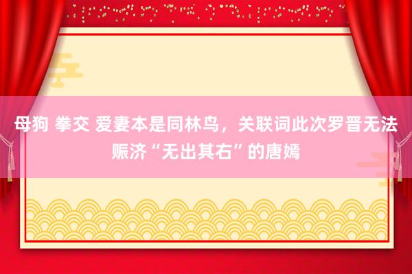 母狗 拳交 爱妻本是同林鸟，关联词此次罗晋无法赈济“无出其右”的唐嫣