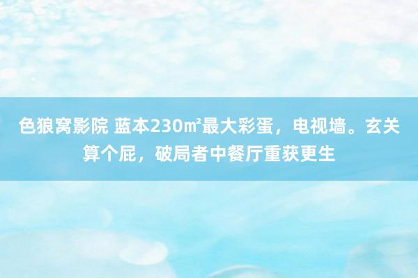 色狼窝影院 蓝本230㎡最大彩蛋，电视墙。玄关算个屁，破局者中餐厅重获更生