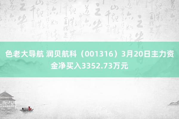 色老大导航 润贝航科（001316）3月20日主力资金净买入3352.73万元