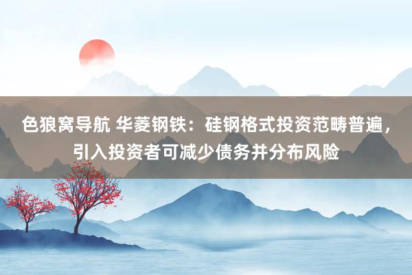 色狼窝导航 华菱钢铁：硅钢格式投资范畴普遍，引入投资者可减少债务并分布风险