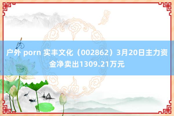 户外 porn 实丰文化（002862）3月20日主力资金净卖出1309.21万元