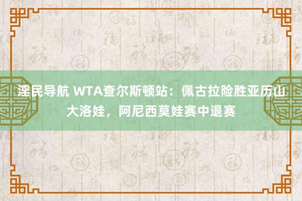 淫民导航 WTA查尔斯顿站：佩古拉险胜亚历山大洛娃，阿尼西莫娃赛中退赛