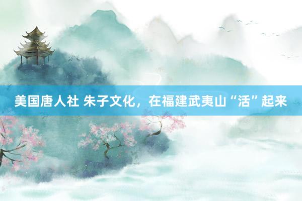 美国唐人社 朱子文化，在福建武夷山“活”起来