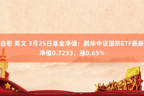 自慰 英文 3月25日基金净值：鹏华中证国防ETF最新净值0.7233，涨0.65%