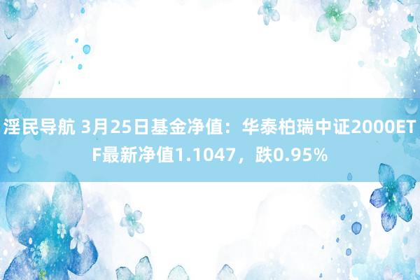 淫民导航 3月25日基金净值：华泰柏瑞中证2000ETF最新净值1.1047，跌0.95%
