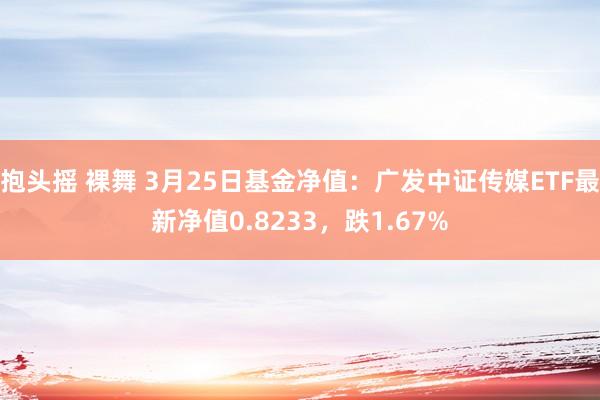 抱头摇 裸舞 3月25日基金净值：广发中证传媒ETF最新净值0.8233，跌1.67%