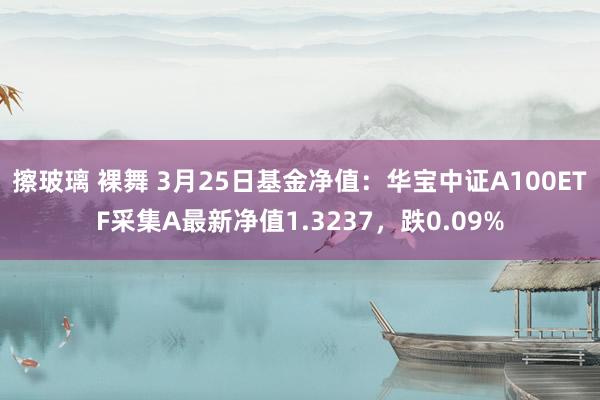 擦玻璃 裸舞 3月25日基金净值：华宝中证A100ETF采集A最新净值1.3237，跌0.09%