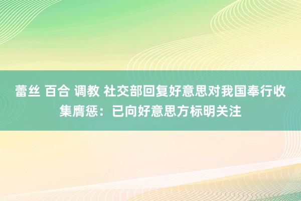 蕾丝 百合 调教 社交部回复好意思对我国奉行收集膺惩：已向好意思方标明关注