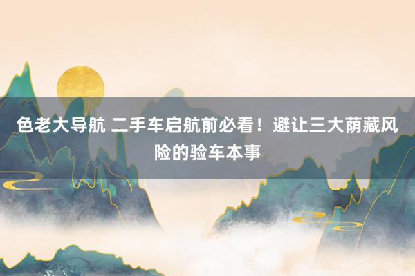 色老大导航 二手车启航前必看！避让三大荫藏风险的验车本事