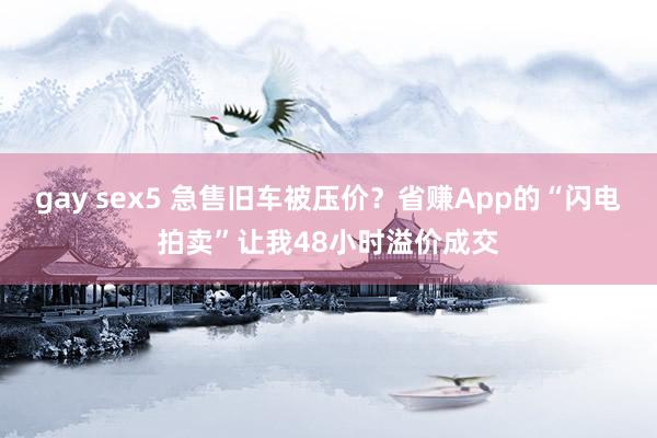 gay sex5 急售旧车被压价？省赚App的“闪电拍卖”让我48小时溢价成交