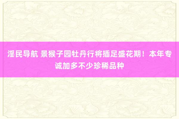 淫民导航 景猴子园牡丹行将插足盛花期！本年专诚加多不少珍稀品种