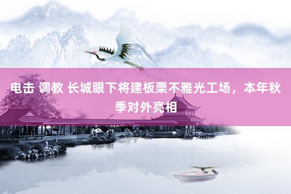电击 调教 长城眼下将建板栗不雅光工场，本年秋季对外亮相