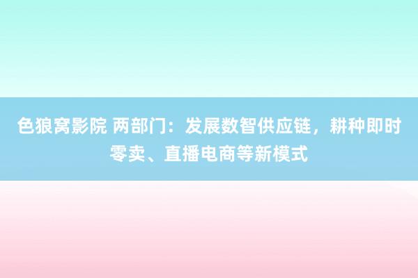 色狼窝影院 两部门：发展数智供应链，耕种即时零卖、直播电商等新模式