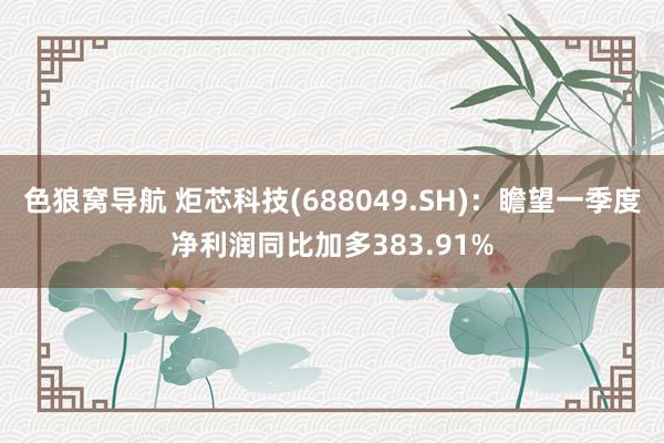 色狼窝导航 炬芯科技(688049.SH)：瞻望一季度净利润同比加多383.91%