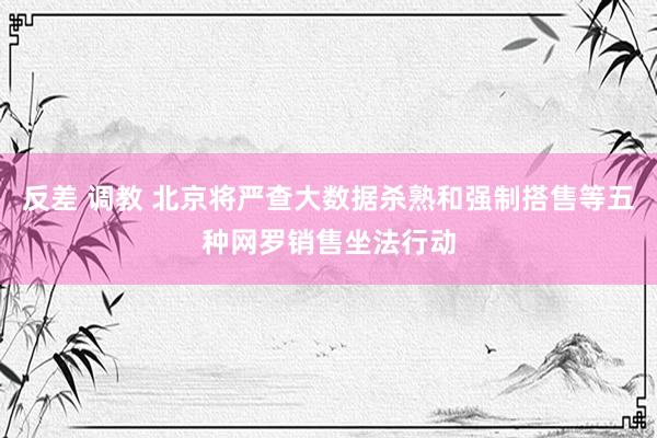 反差 调教 北京将严查大数据杀熟和强制搭售等五种网罗销售坐法行动
