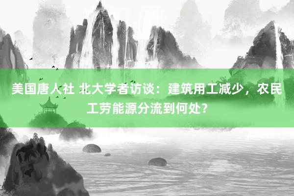 美国唐人社 北大学者访谈：建筑用工减少，农民工劳能源分流到何处？