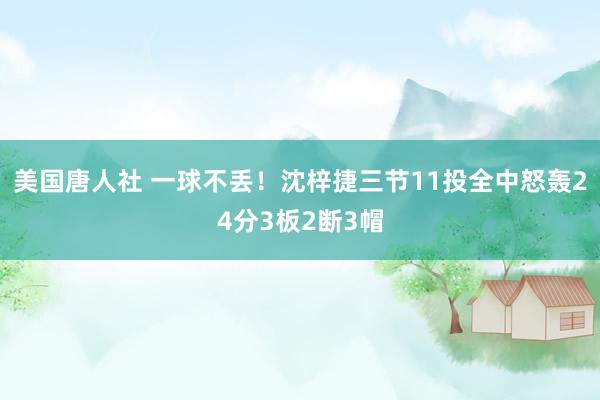 美国唐人社 一球不丢！沈梓捷三节11投全中怒轰24分3板2断3帽