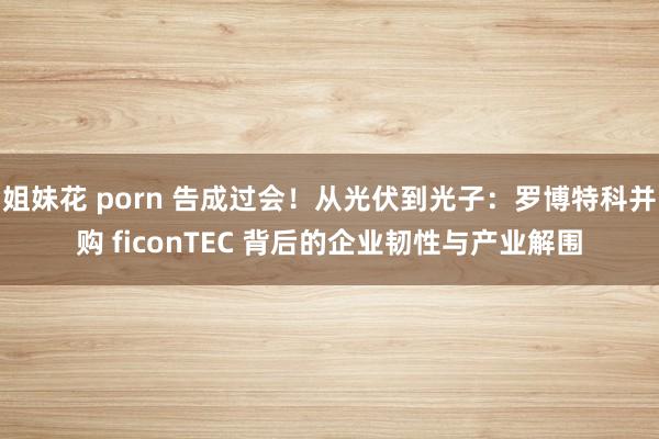 姐妹花 porn 告成过会！从光伏到光子：罗博特科并购 ficonTEC 背后的企业韧性与产业解围
