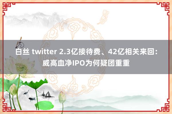 白丝 twitter 2.3亿接待费、42亿相关来回：威高血净IPO为何疑团重重