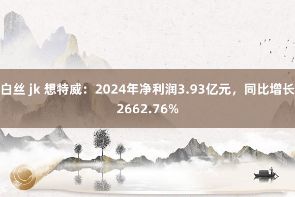白丝 jk 想特威：2024年净利润3.93亿元，同比增长2662.76%